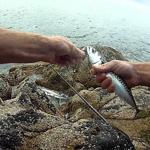 Aberdaron fishing 4th june 2012.