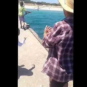 Spanish Mackerel at Woodman Point/Amo Jetty