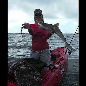 Kayak Fishing Pensacola Florida - Shark, Red Snapper, Spanish Mackerel, Bullred - How to