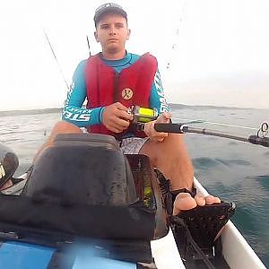 Nice King Mackerel / Couta Caught off A fishing Kayak