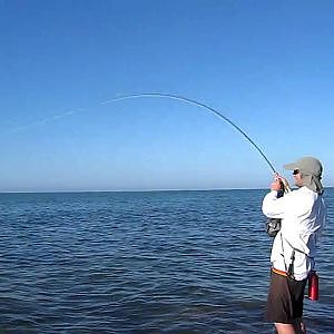 Fly fishing for Spanish Mackerel