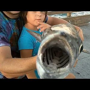 King Mackerel Bite Caught On Film! Bob Hall Pier
