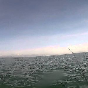 Spanish Mackerel Kayak Fishing - Venice, FL