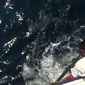 Fisherman gets stabbed in face by Marlin on our fishing trip in Mexico