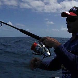 Live Baiting Marlin HD