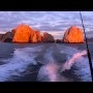 Marlin Fishing in Cabo San Lucas, Mexico