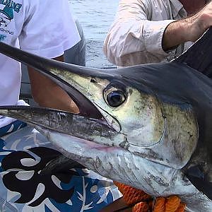 Extreme Fishing the Osa Peninsula Costa Rica.mov