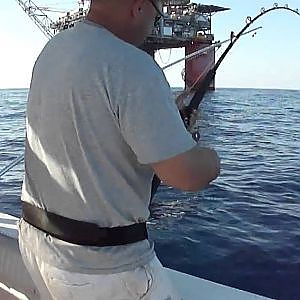 Big Yellowfin Tuna Gulf of Mexico Marlin Rig Deep Sea Offshore fishing near