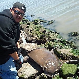 MUD MARLIN FISHING IN NORTHERN CALIFORNIA