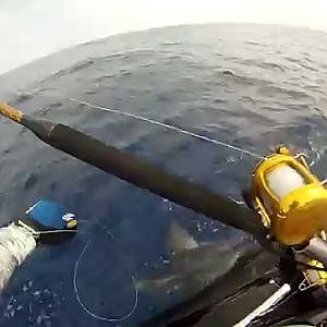 jetski fishing hawaii, marlin 4.7.13