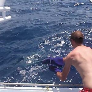 Amazing Marlin Footage, Fishing Australia