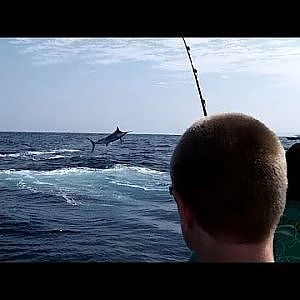 Panama Fishing - Black Marlin Going Nuts at Hannibal Bank!