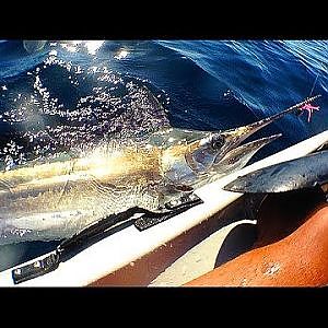 Marlin from stealth fishing kayak off the Gold Coast.