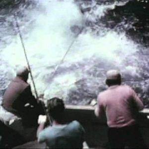 Black Marlin Blvd-Vintage fishing from Cabo Blanco Peru