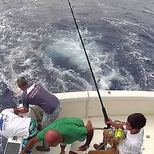 Start Me Up Sportfishing Maui Marlin 316