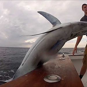 White Marlin Fishing Ocean City MD