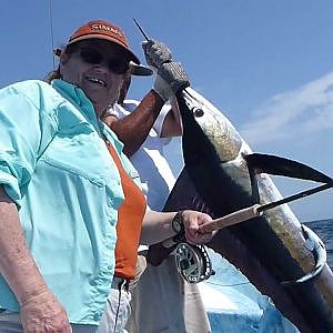 Nautilus NV Reel vs. Striped Marlin