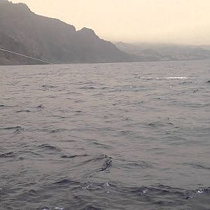 MADEIRA - Blue Marlin Fishing 2012