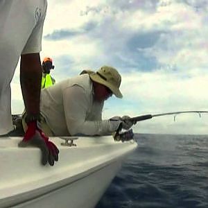 Blue Marlin fishing tackle HK fishing trip