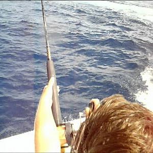 11 Year Old Catches a 200lb Blue Marlin