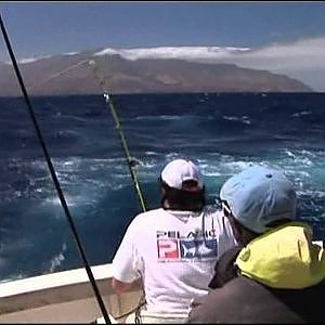 Pesca Marlin Master Reality Fishing.MKVHD