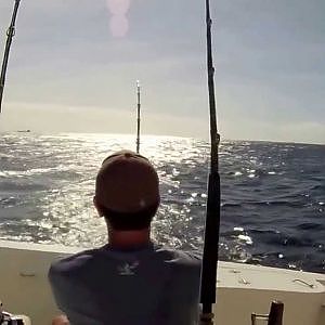 Fish Curacao Marlin Fishing 2013