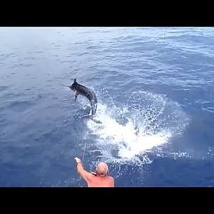 Hochseeangeln Geheimtipp Madeira! Big game fishing - Blue Marlin