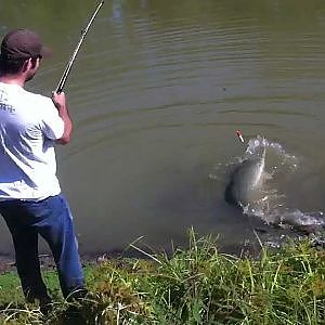 MONSTER ALLIGATOR GAR FISHING IN TEXAS WITH ROD AND REEL