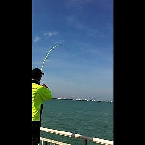 Rod Tester Anthony with a needle fish aka gar fish on noodle rod