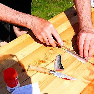 Hornfisk, Effektiv Filletering + Smart Stegning/ På Fiskeopdagelse Djursland