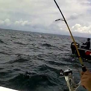 BRUNEI FISHING 5 SAILFISH