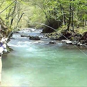 Fly fishing Slovenia, Marble trout April 2013 Bela r.