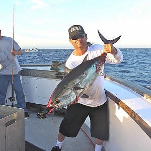 San Diego Tuna, Dorado Fishing on the Ranger 85 - HookBuzz.com