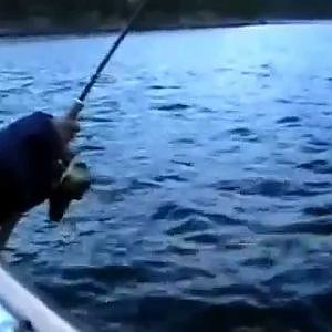 Angeln mit VV Fishing am Namsenfjord in Norwegen -  Teil 3