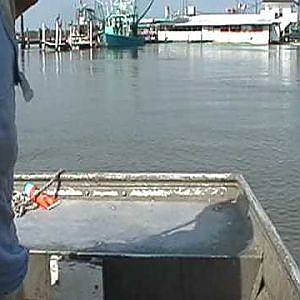 Mullet Fishing in Alabama on June 19, 2009, Pari II