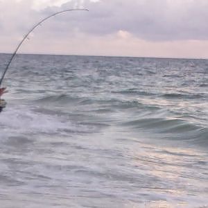 EXTREME Mullet Run Beach Fishing - 2014 Happy Bait