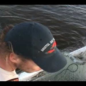 COMMERCIAL GILLNET FISHING FOR MULLET WITH STRIKENETTER