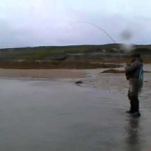 Seatrout fishing on the South West of Scotland