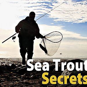 UK vers. Sea Trout Secrets 3 Spin Fishing / Spring