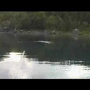 Funny seatrout fishing in Norway