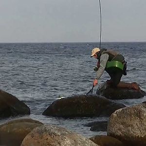 Seatrout Bornholm