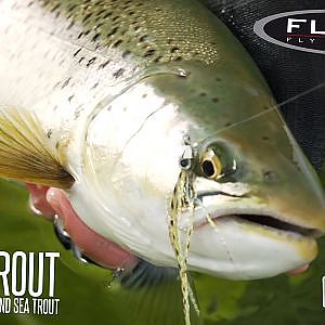 FLY TV Squeeze - Rauk Trout - Fly Fishing for Gotland Sea Trout