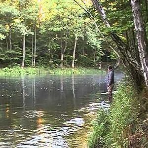 Mörrum 95 cm. seatrout fight september 2010