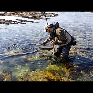 Saltwater Fly Fishing ! Native Big Trout of Japan.