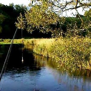 Sea Trout fishing in a Danish river (4)