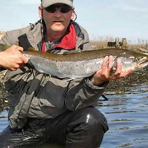 Flyfishing for Seatrout Denmark 2010