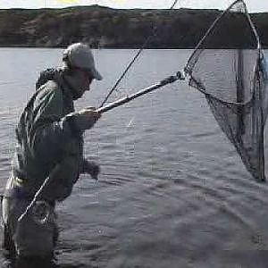 Smøla 2009 Seatrout fishing / sjøørret fiske