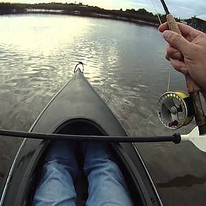 Sea Trout on the Fly Rod