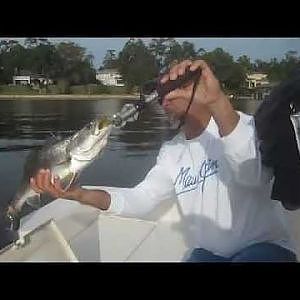 Big Seatrout Released, 11 Pounds