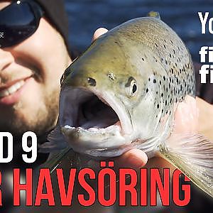 Fina Fisken TV - Stor havsoÌˆring - Episod 9 (English subtitles)